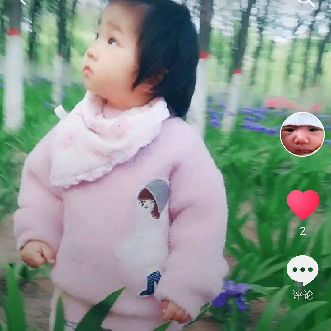 🌺繁华繁花🌸