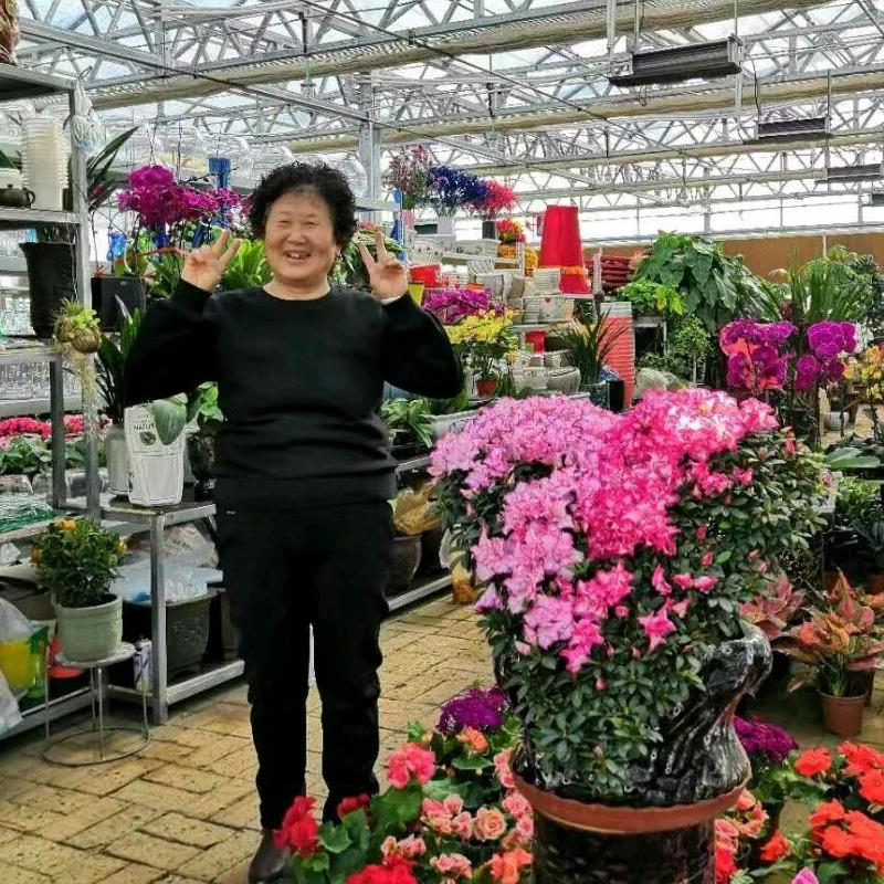 开心果奶奶👵