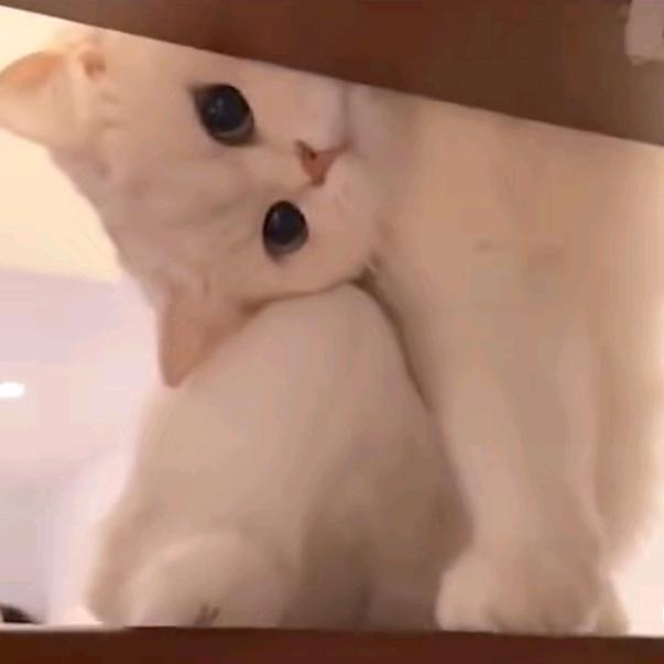 梓 晴