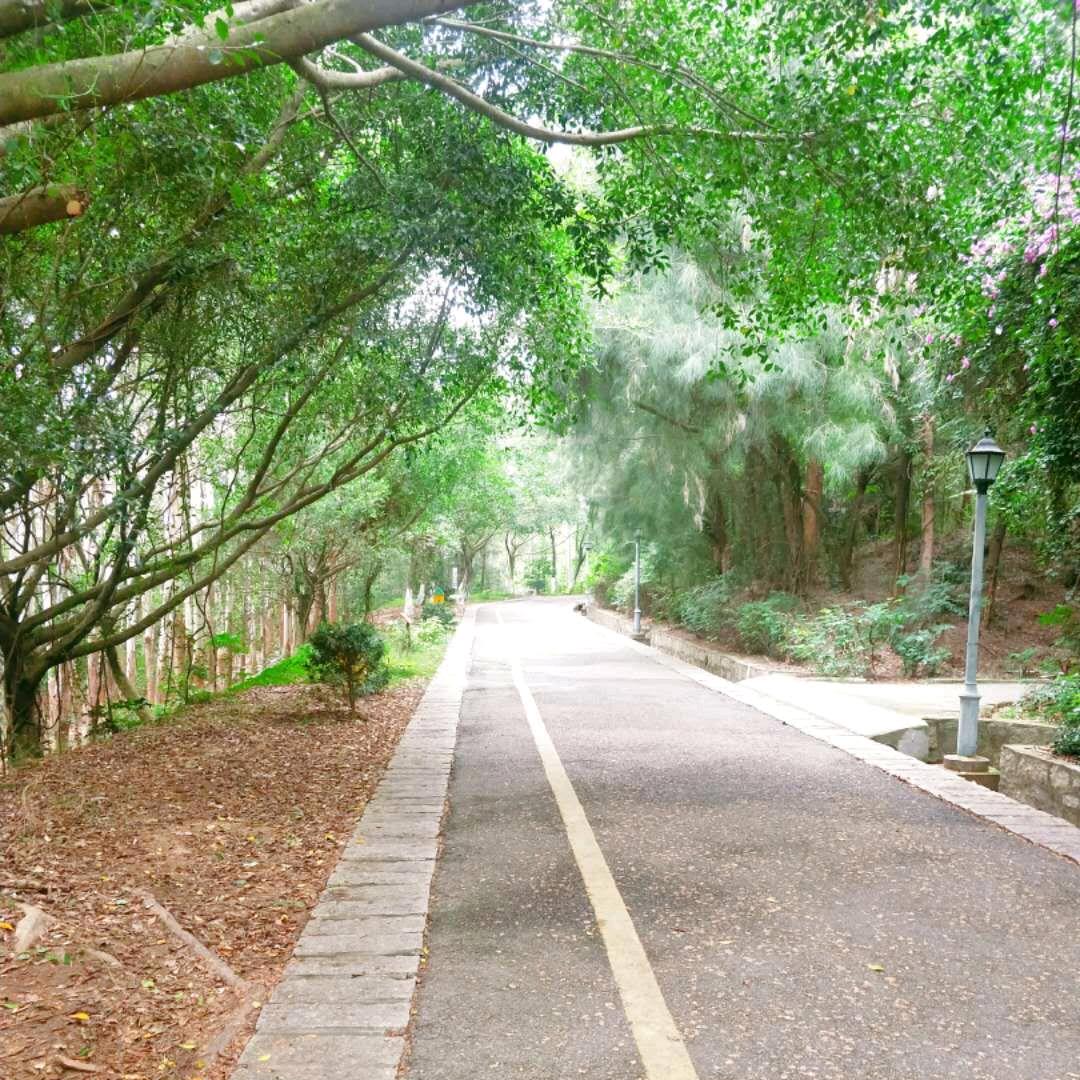 一路上（好物分享）