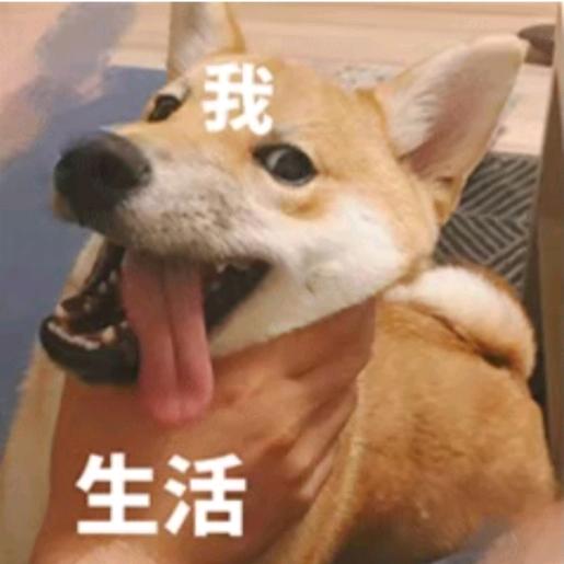 biu特否头像