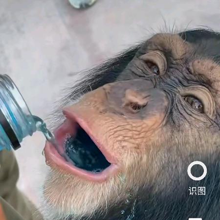 谢永胜