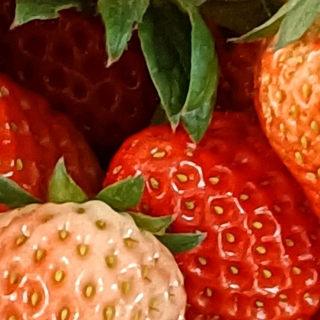 美森生态草莓园采摘基地