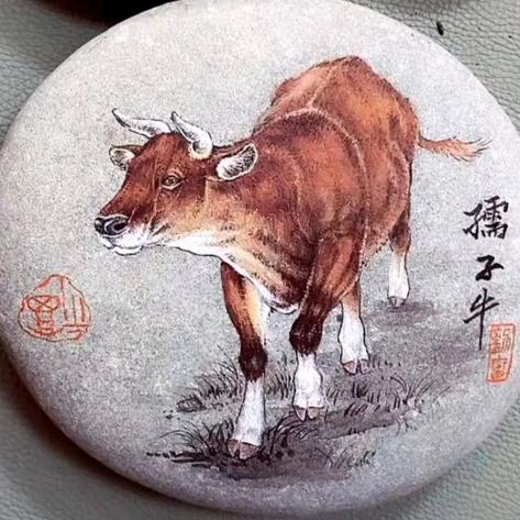 雨虹