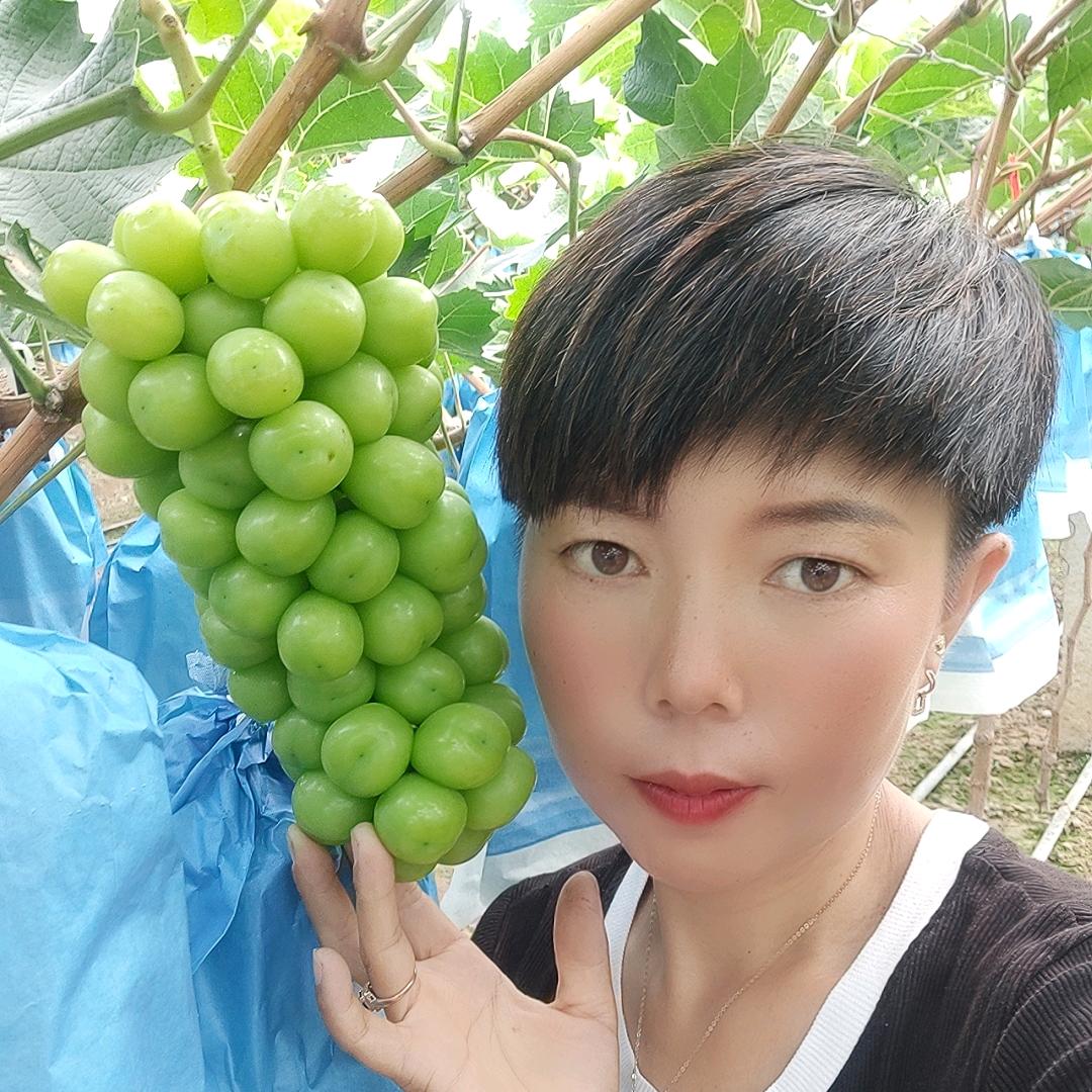 茗果树芮溪果树苗木专卖店