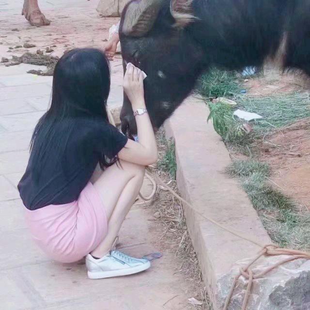 👉小贵贵