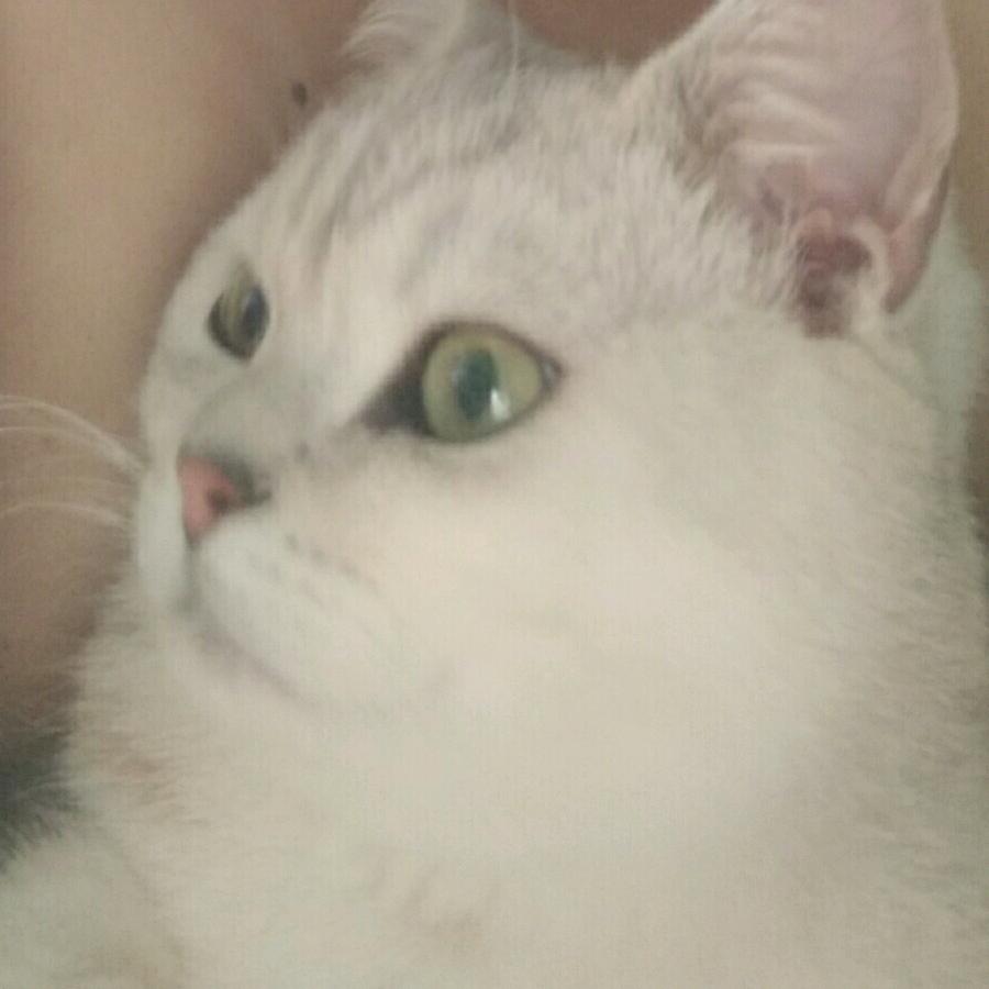 夏天的风2