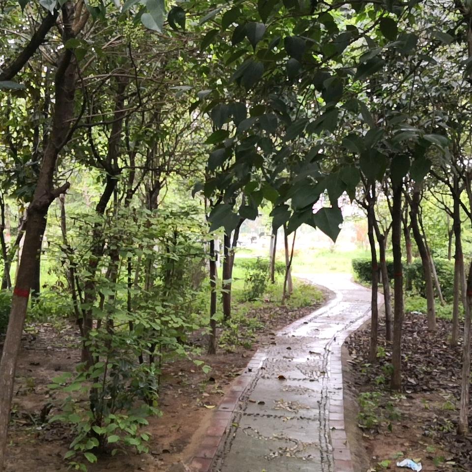 雄关0漫道