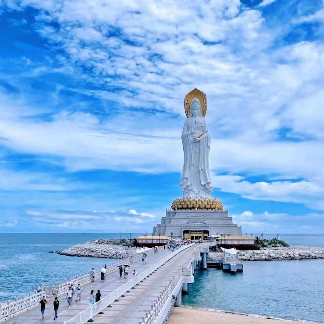 自由不飞翔