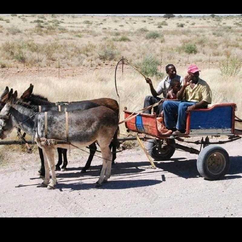 大同市开发区红苹果生活超市