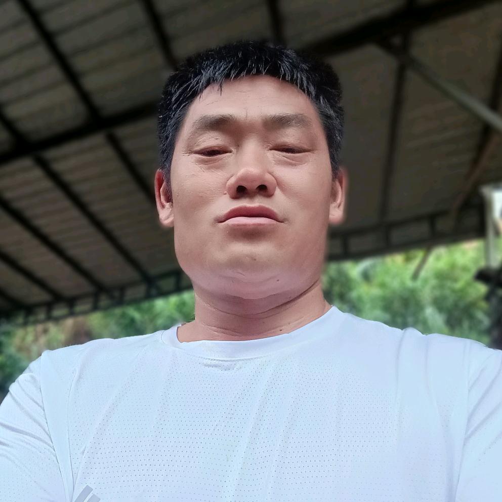 陈洪超