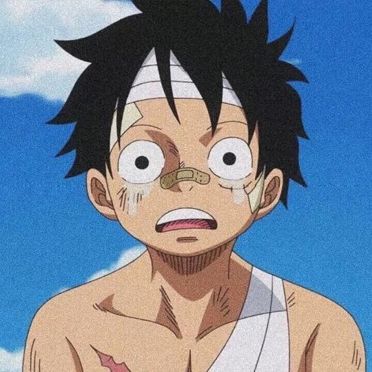 佛朗明戈丿