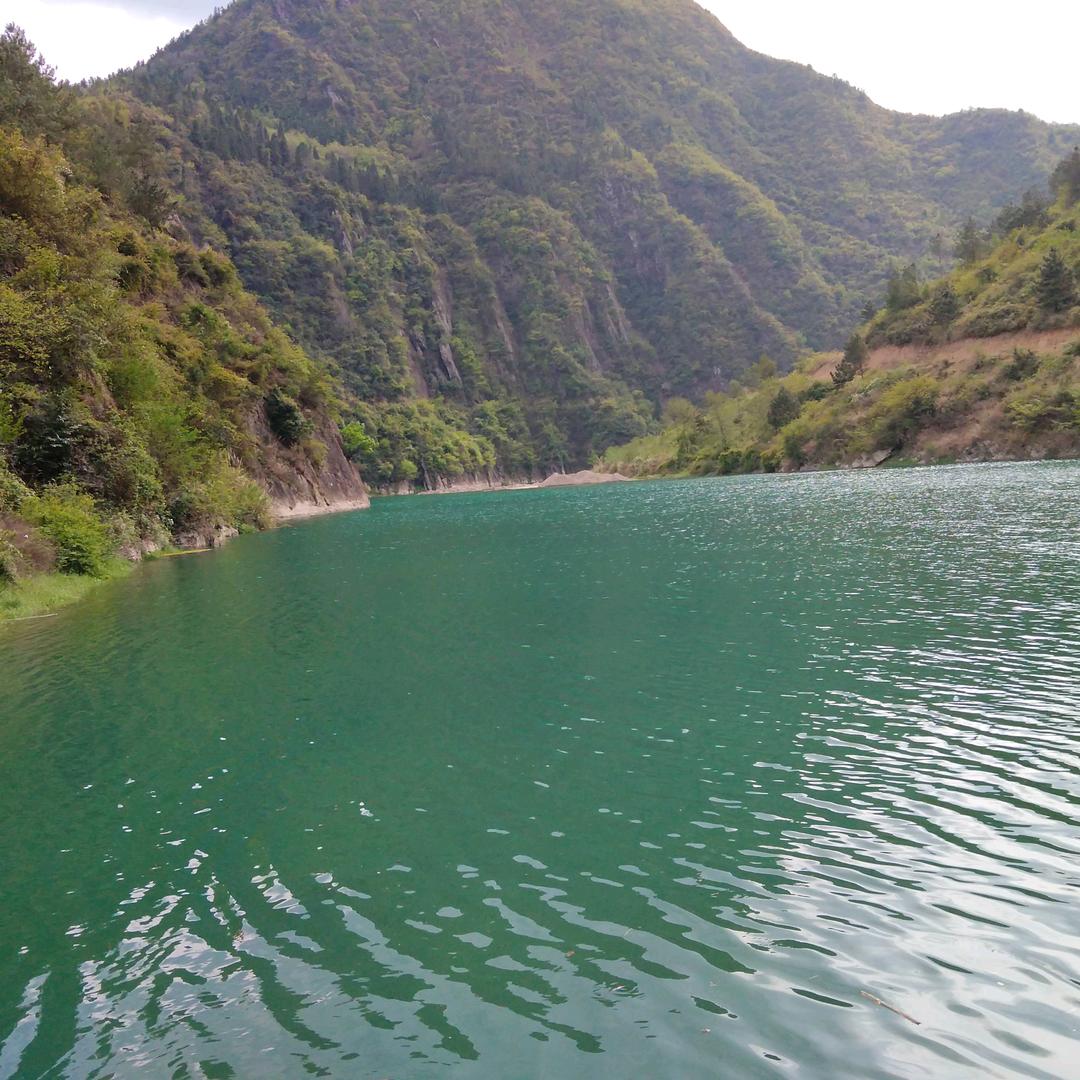 飘流老董