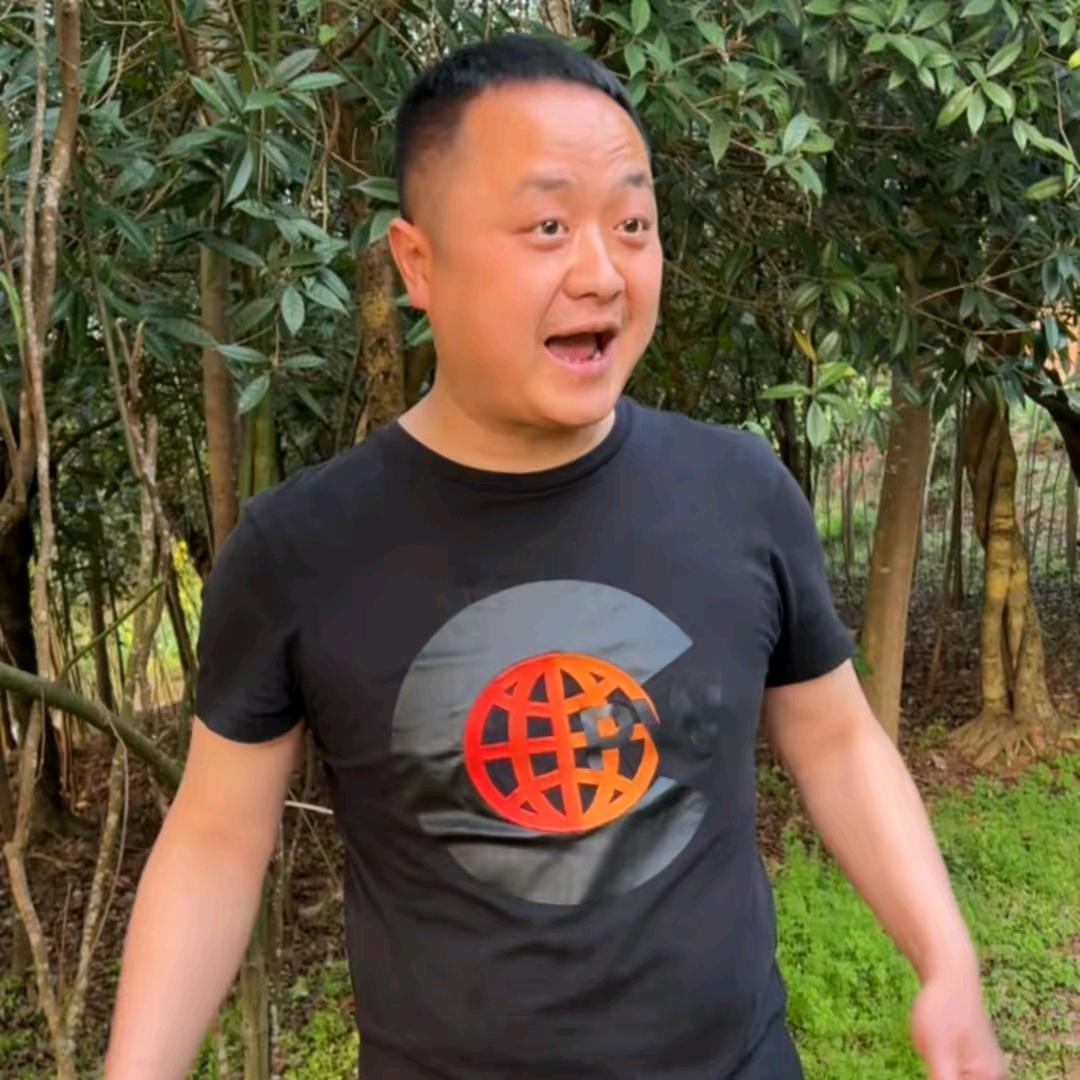 大智