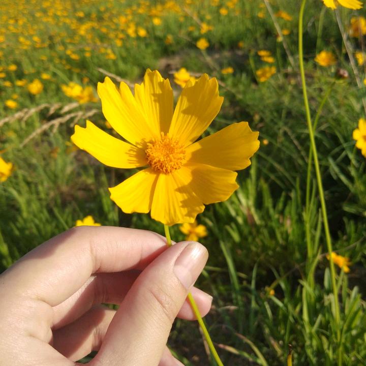 马达加斯加的企鹅