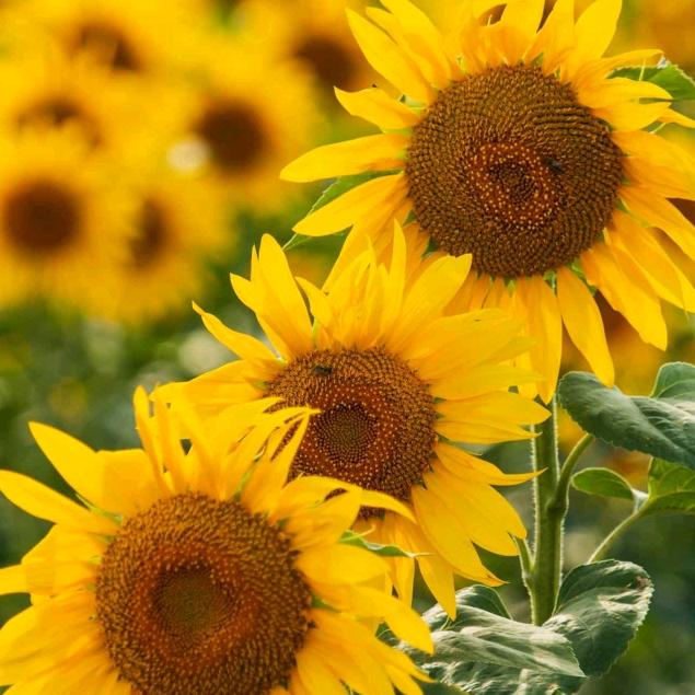 原来是你(2019.9.18.12.17