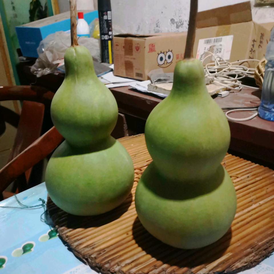 往后余生只有你