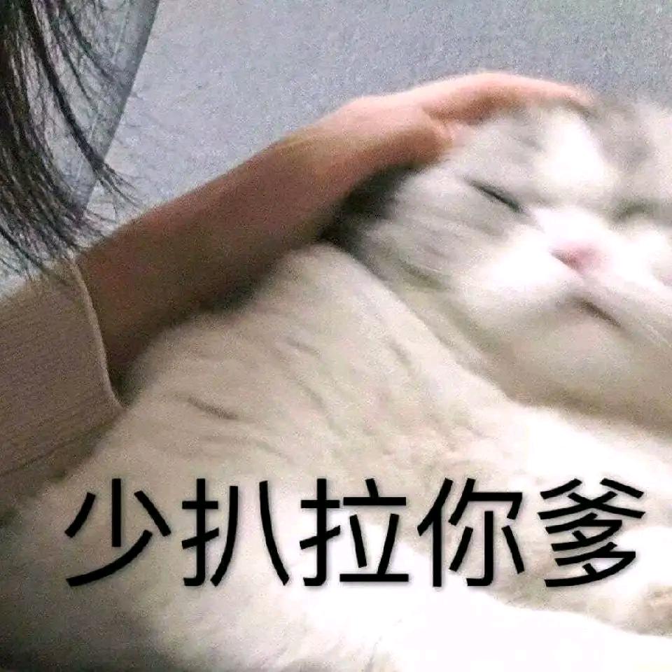 惊蛰