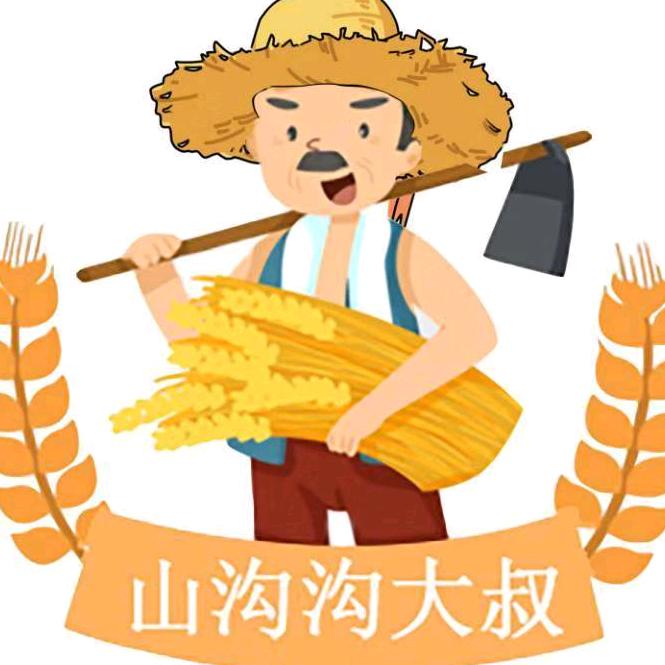 山沟沟大叔富硒脐橙园