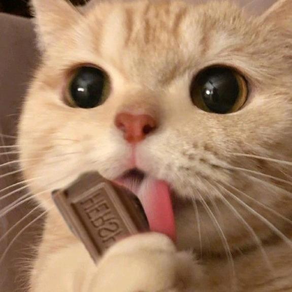 波和酱酱栗子🌰