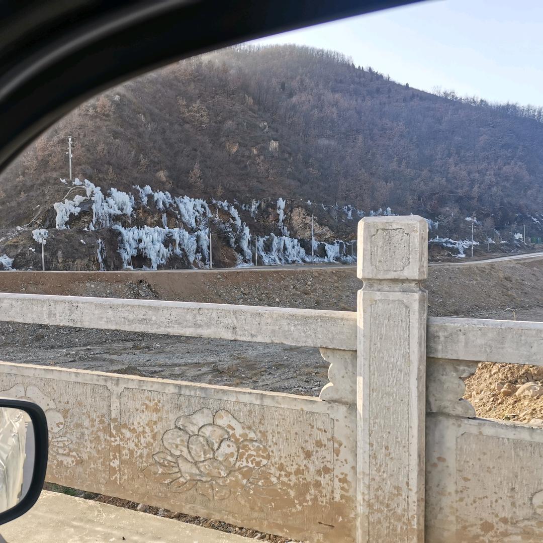 骆驼骆驼老骆驼