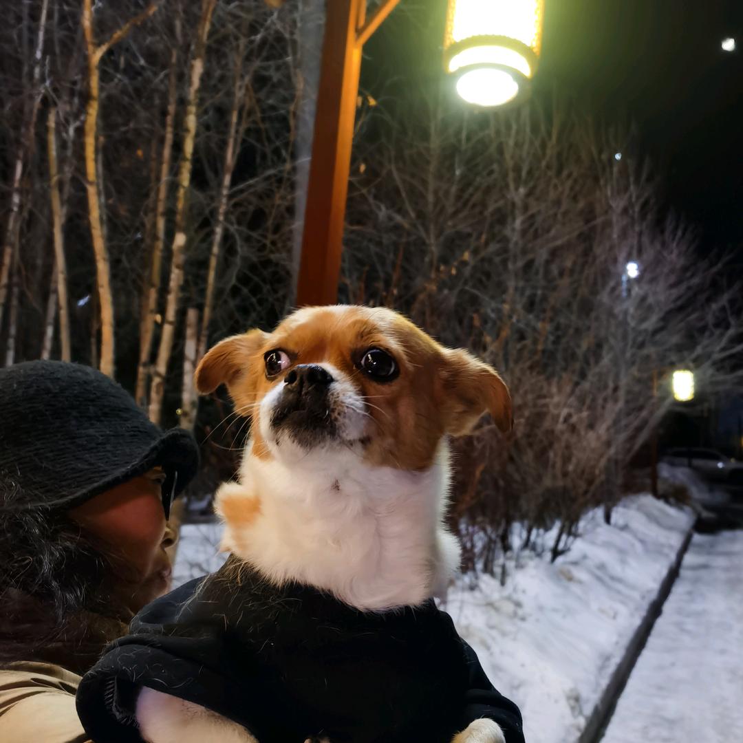 果果哥.