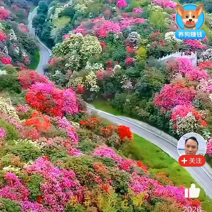 开开心心每一天