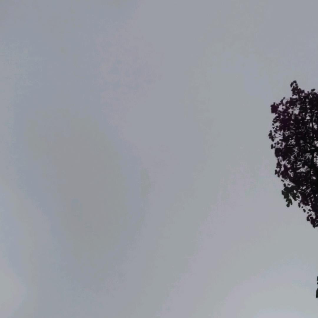 小样