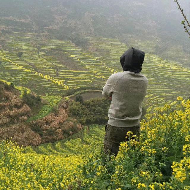 说锅~无忧