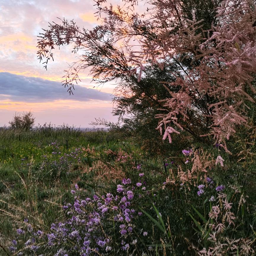 @蔚蓝天空