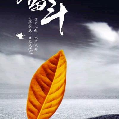 充实努力
