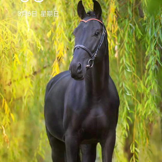 |真心不如红钞票