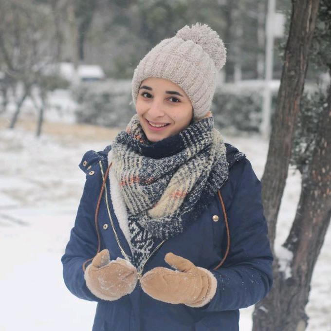 阿拉伯🇨🇳郝宝🇵🇸