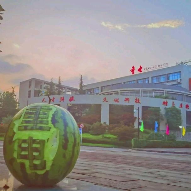 重庆电子科技职业大学万能墙
