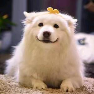 知足常乐