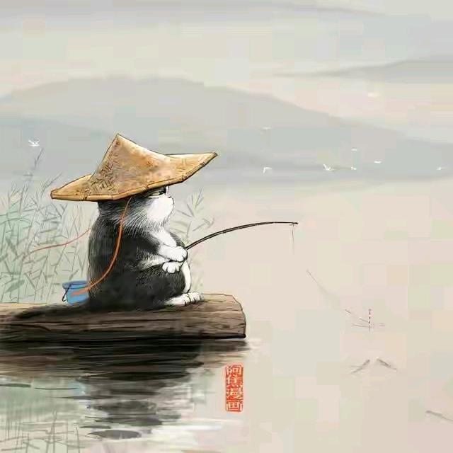 老猫钓鱼