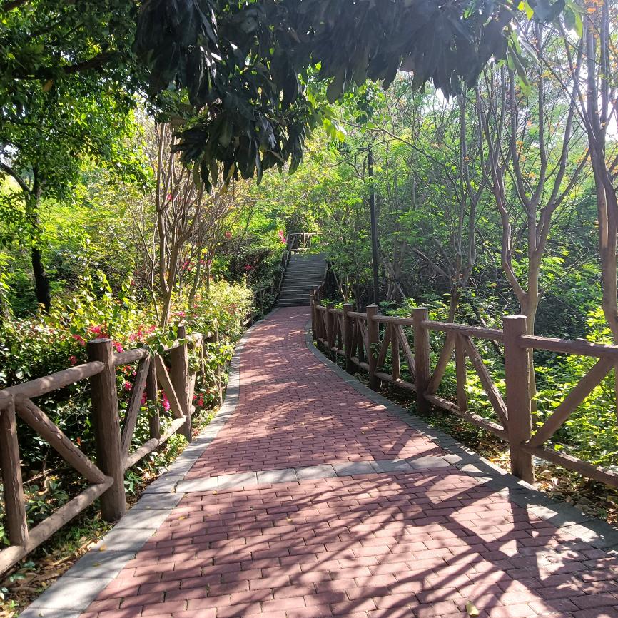 四站连，深圳曳步舞