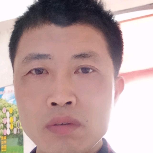 苏飞