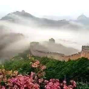 维维硕果