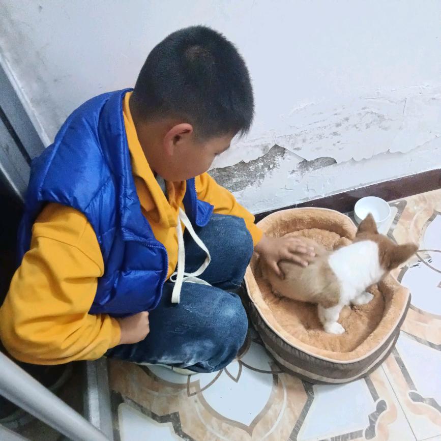 敢拼才会赢