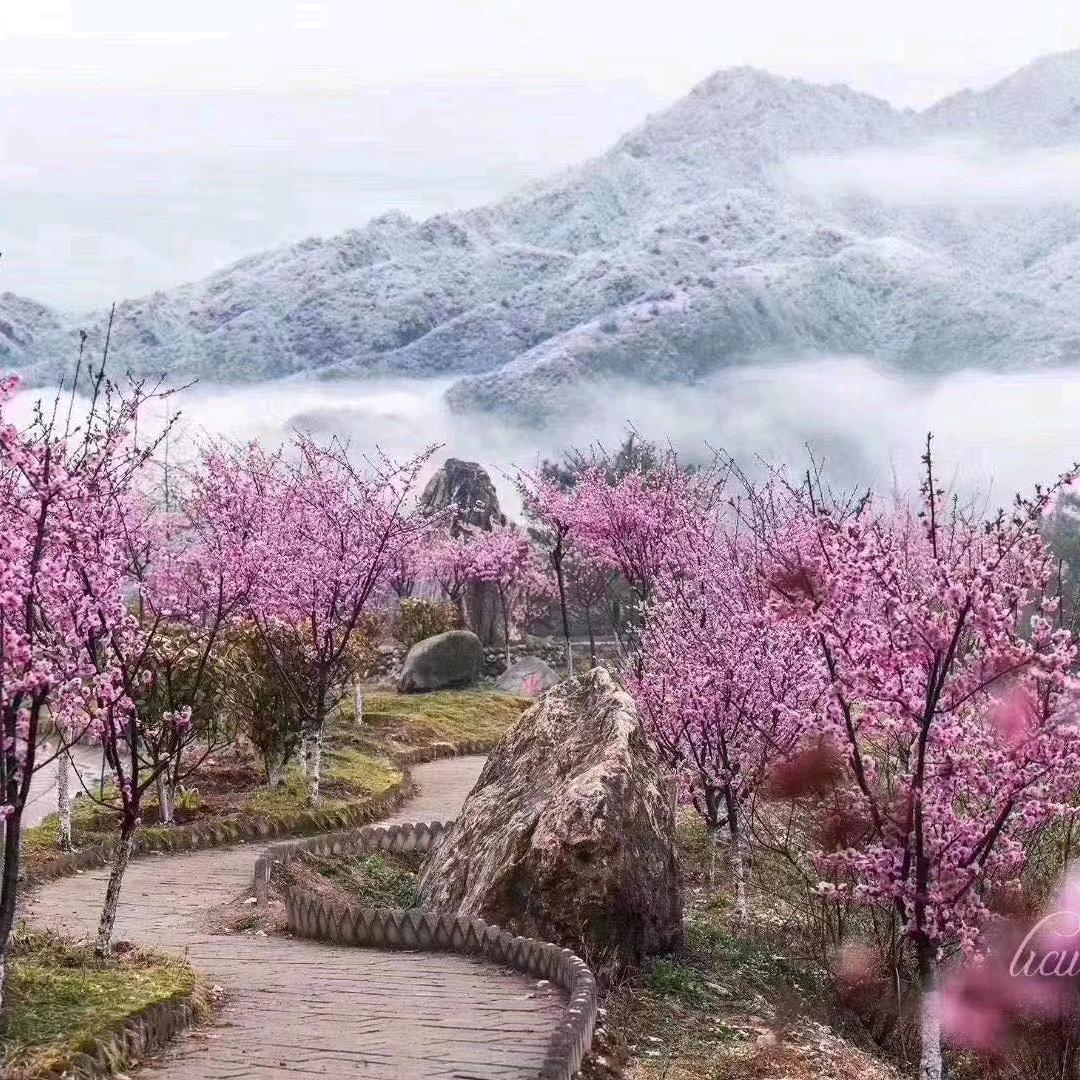 雨无尘
