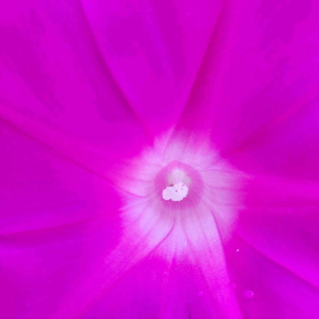 木工