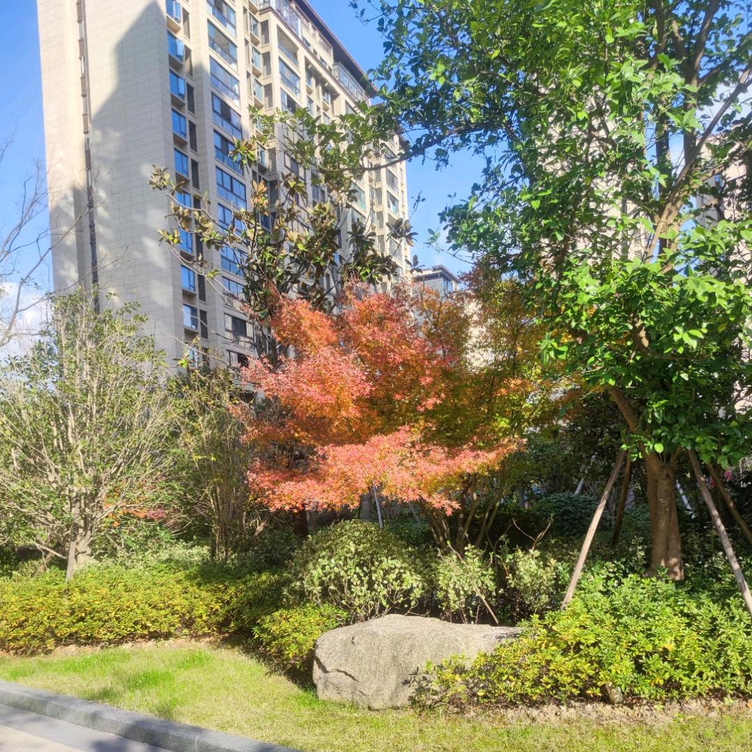 婉 婉