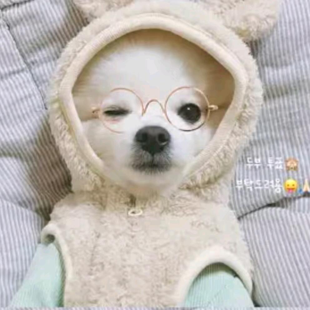 Mr . wang