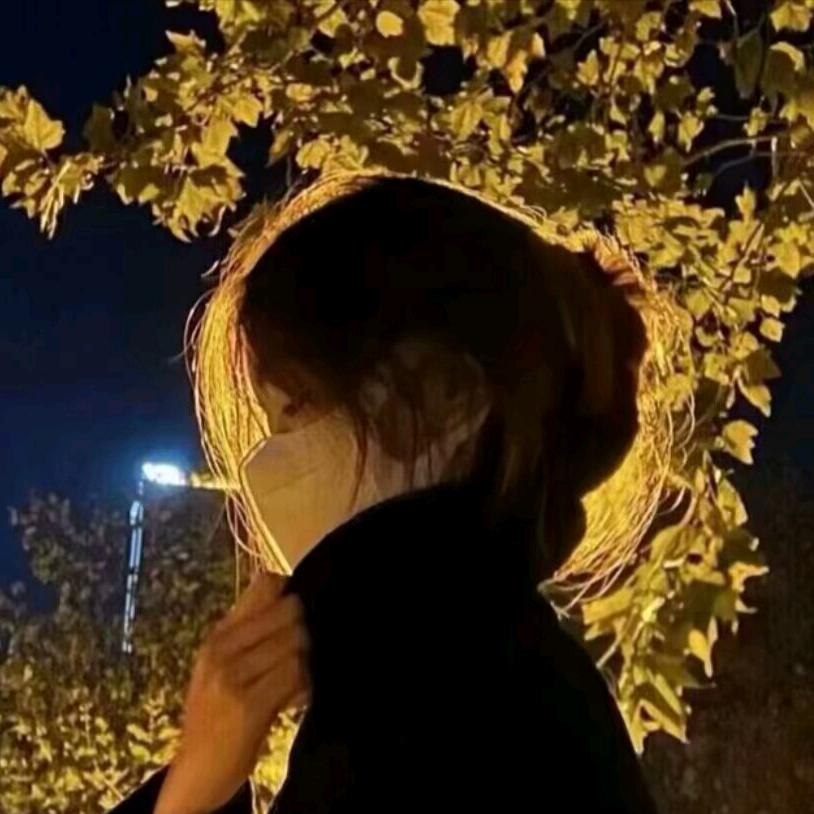 困困熊😴