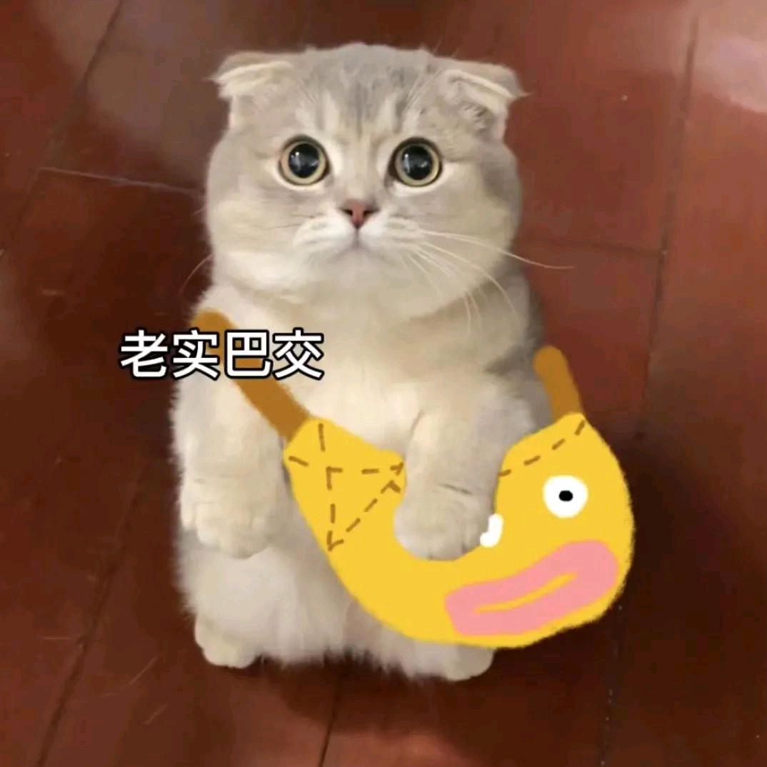 半只鱼