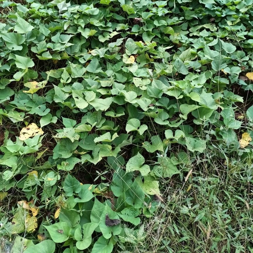 用户7651890568839？？