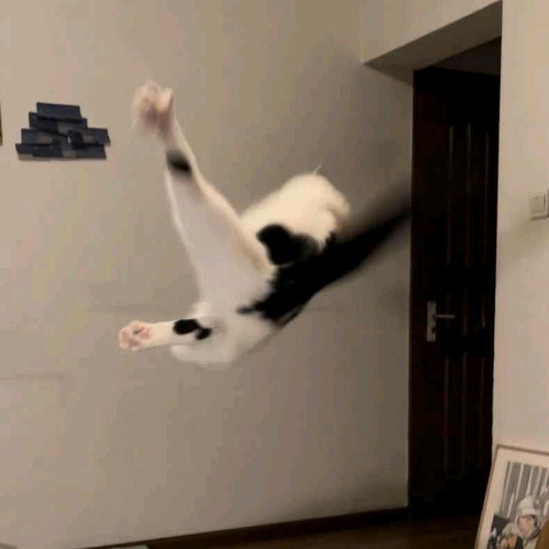 凉冰