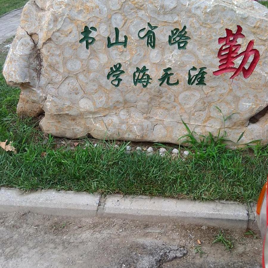 小山东