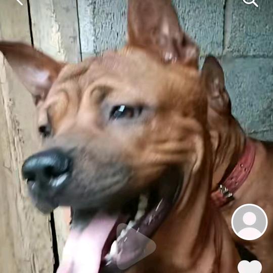 ，美丽南方，老表